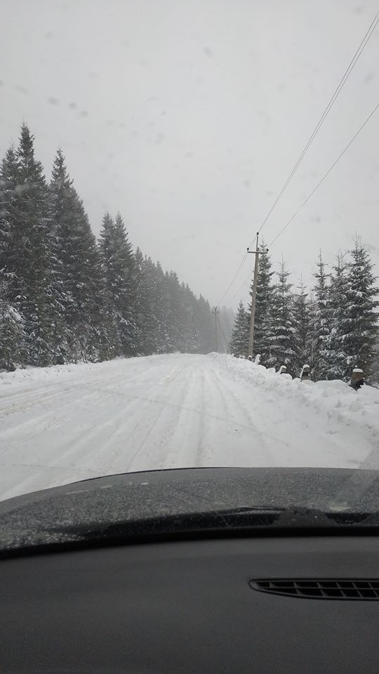 Західну Україну завалило снігом: міста залишилися без світла (фото)